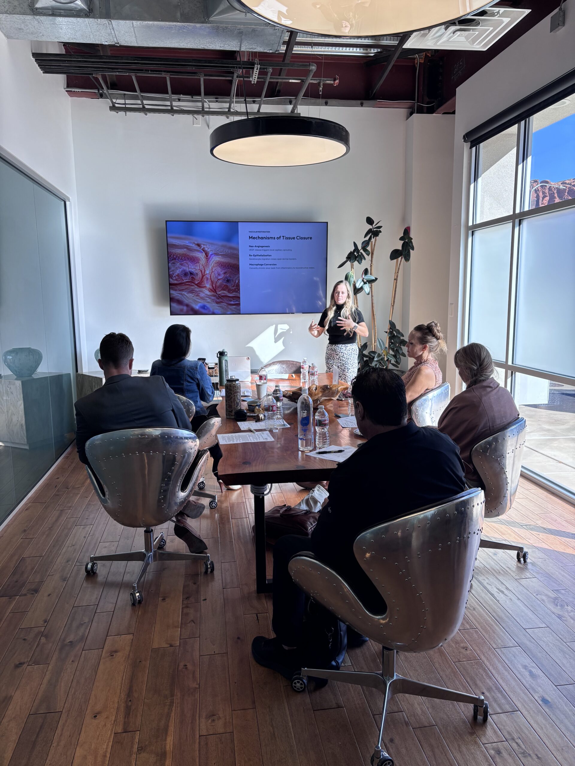 Presenter teaching a group in a conference room